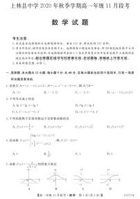 广西南宁上林县中学2020-2021学年高一上学期11月段考数学试卷 PDF版含答案
