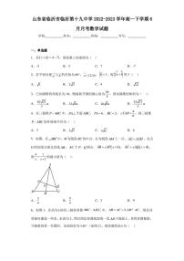 山东省临沂市临沂第十九中学2022-2023学年高一下学期6月月考数学试题