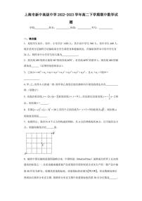 上海市新中高级中学2022-2023学年高二下学期期中数学试题