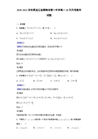 2020-2021学年黑龙江省鹤岗市第一中学高一10月月考数学试题（解析版）