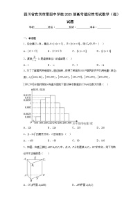 四川省宜宾市第四中学校2023届高考适应性考试数学（理）试题（含解析）