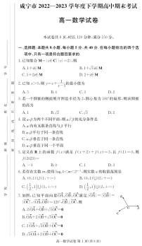 2023咸宁高一下学期期末考试数学PDF版含答案