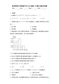 陕西师范大学附属中学2023届高三十模文科数学试题（含解析）