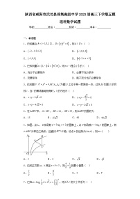陕西省咸阳市武功县普集高级中学2023届高三下学期五模理科数学试题（含解析）