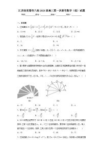 江西省宜春市八校2023届高三第一次联考数学（理）试题（含解析）