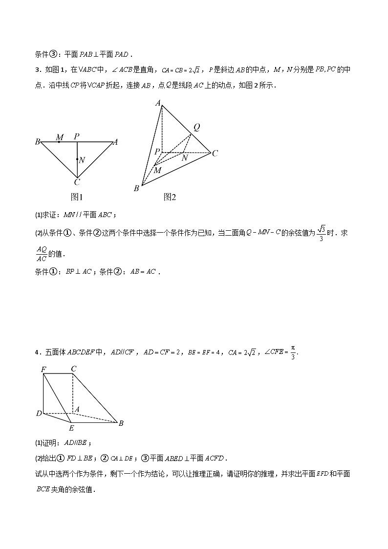 专题08 立体几何之结构不良型-备战高考数学大题保分专练(全国通用)02