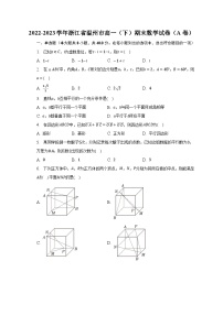 2022-2023学年浙江省温州市高一（下）期末数学试卷（A卷）（含解析）