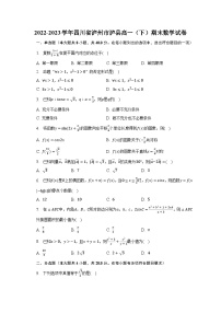 2022-2023学年四川省泸州市泸县高一（下）期末数学试卷（含解析）