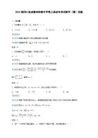 2023届四川省成都市树德中学高三适应性考试数学（理）试题含解析