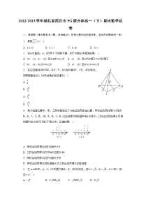 2022-2023学年湖北省武汉市5G联合体高一（下）期末数学试卷（含解析）