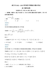 湖北省咸宁市2022-2023学年高二数学下学期期末试题（Word版附解析）