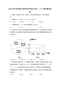 四川省泸县第五中学2022-2023学年高一数学下学期6月期末试题（Word版附解析）