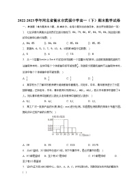 2022-2023学年河北省衡水市武强中学高一（下）期末数学试卷（含解析）