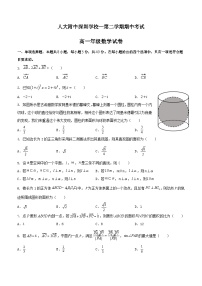 广东省深圳市人大附中深圳学校—高一下学期期中考试数学试题