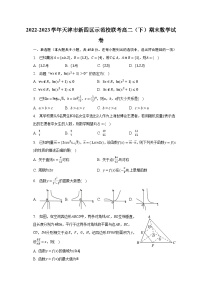 2022-2023学年天津市新四区示范校联考高二（下）期末数学试卷（含解析）