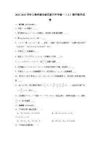 2022-2023学年上海市浦东新区新川中学高一（上）期中数学试卷（含解析）
