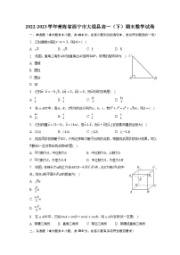 2022-2023学年青海省西宁市大通县高一（下）期末数学试卷（含解析）