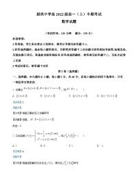 四川省射洪中学2022-2023学年高一数学上学期期中试题（Word版附解析）