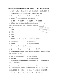 2022-2023学年湖南省益阳市桃江县高一（下）期末数学试卷（含解析）