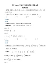 福建省龙岩市2023届高三数学5月质量检测试题（Word版附解析）