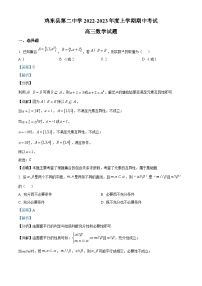黑龙江省鸡西市鸡东县第二中学2022-2023学年高三上学期期中数学试题（解析版）