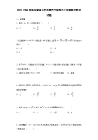 2021-2022学年安徽省合肥市第六中学高二上学期期中数学试题（解析版）
