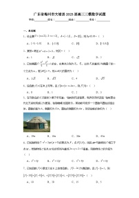 广东省梅州市大埔县2023届高三三模数学试题（含解析）