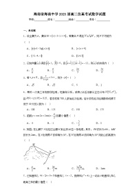 海南省海南中学2023届高三仿真考试数学试题（含解析）