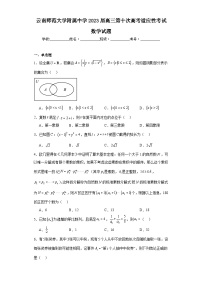 云南师范大学附属中学2023届高三第十次高考适应性考试数学试题（含解析）