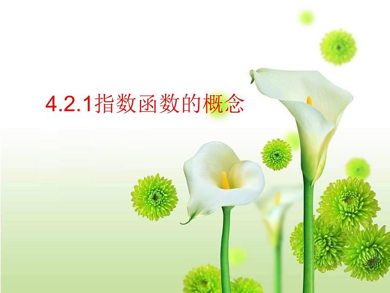 4.2.1指数函数的概念课件PPT01