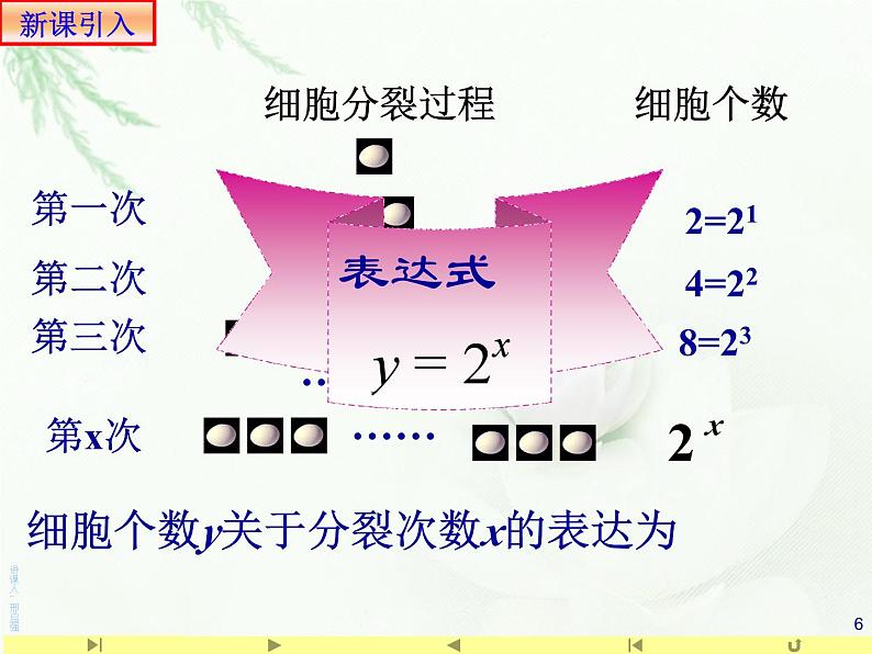 4.2.1指数函数的概念课件PPT06