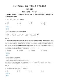 四川省绵阳市三台县三台中学校2022-2023学年高一下学期3月月考数学试题（解析版）