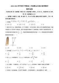 2022-2023学年度河北省衡水中学高三下学期第五次综合素养测评数学试题
