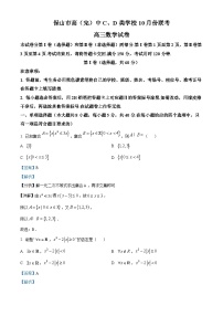 云南省保山市高（完）中C、D类学校2023届高三上学期10月份联考数学试题（解析版）