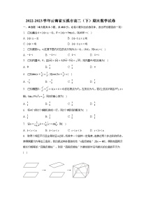 2022-2023学年云南省玉溪市高二（下）期末数学试卷（含解析）