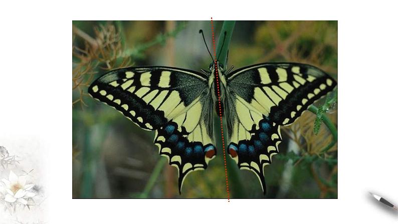 人教A版高中数学必修第一册3.2.2《奇偶性》同步课件（含答案）第3页