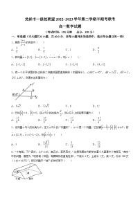 福建省龙岩市一级校联盟2022-2023学年高一下学期期中联考数学试题