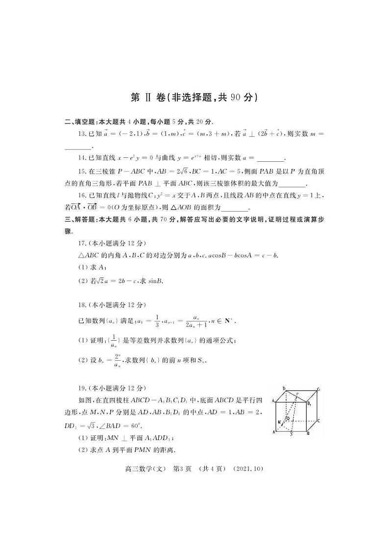 河南省洛阳市2021-2022学年高三上学期期中考试数学（文）【试卷+答案】03