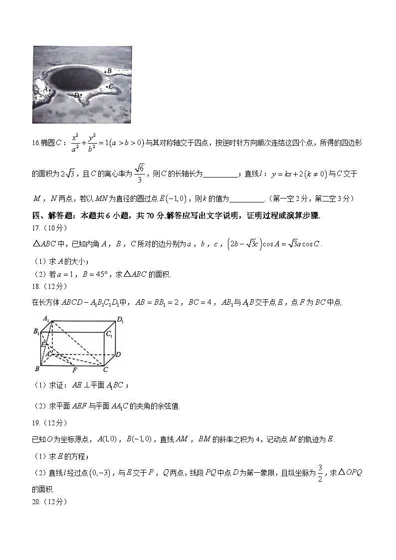 山东省青岛市2024届高三上学期期初调研检测数学试题第3页