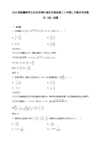 2023届新疆维吾尔自治区喀什地区巴楚县高三上学期1月期末考试数学（理）试题含答案