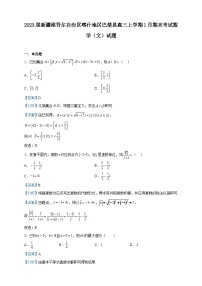 2023届新疆维吾尔自治区喀什地区巴楚县高三上学期1月期末考试数学（文）试题含答案