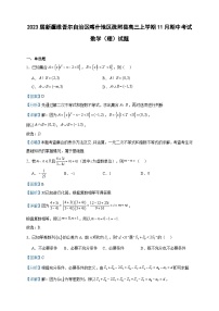 2023届新疆维吾尔自治区喀什地区疏附县高三上学期11月期中考试数学（理）试题含答案