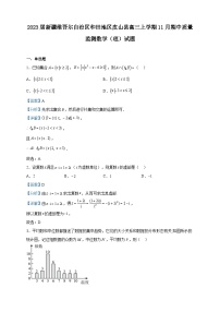 2023届新疆维吾尔自治区和田地区皮山县高三上学期11月期中质量监测数学（理）试题含答案