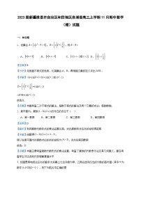2023届新疆维吾尔自治区和田地区洛浦县高三上学期11月期中数学（理）试题含答案