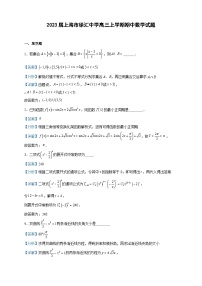 2023届上海市徐汇中学高三上学期期中数学试题含答案
