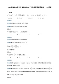 2023届青海省西宁市海湖中学高三下学期开学考试数学（文）试题含答案