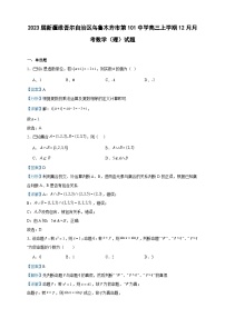 2023届新疆维吾尔自治区乌鲁木齐市第101中学高三上学期12月月考数学（理）试题含解析
