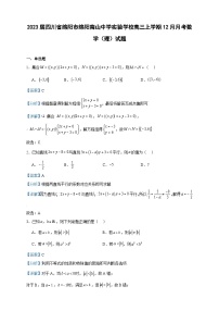 2023届四川省绵阳市绵阳南山中学实验学校高三上学期12月月考数学（理）试题含解析