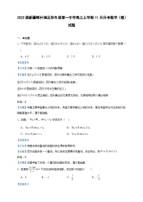 2023届新疆喀什地区莎车县第一中学高三上学期11月月考数学（理）试题含答案