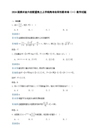 2024届贵州省六校联盟高三上学期高考实用性联考卷（一）数学试题含答案